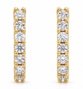 Ana Diamond Loop Earrings